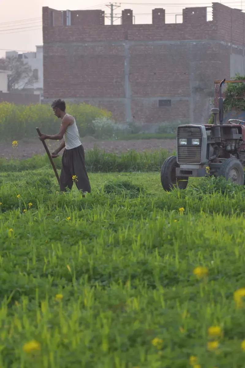 AgroCampo Ibérico S.L.