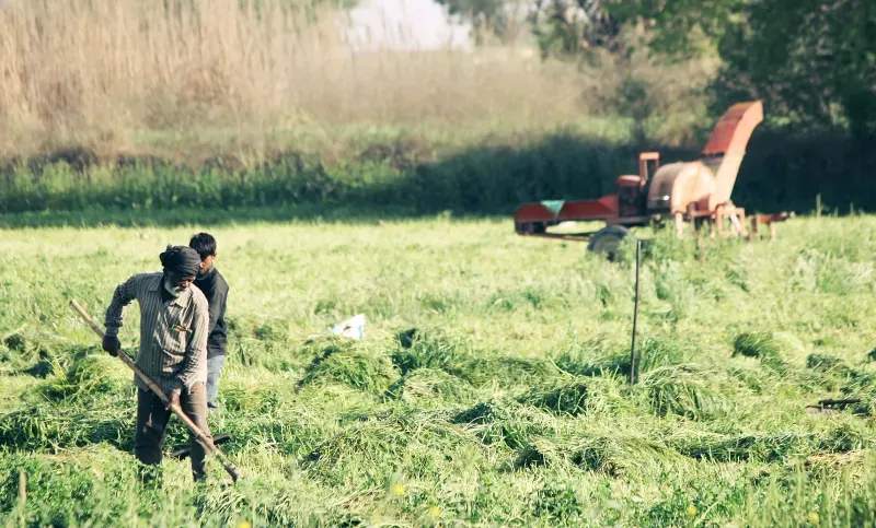 Preparación y mantenimiento de terrenos agrícolas