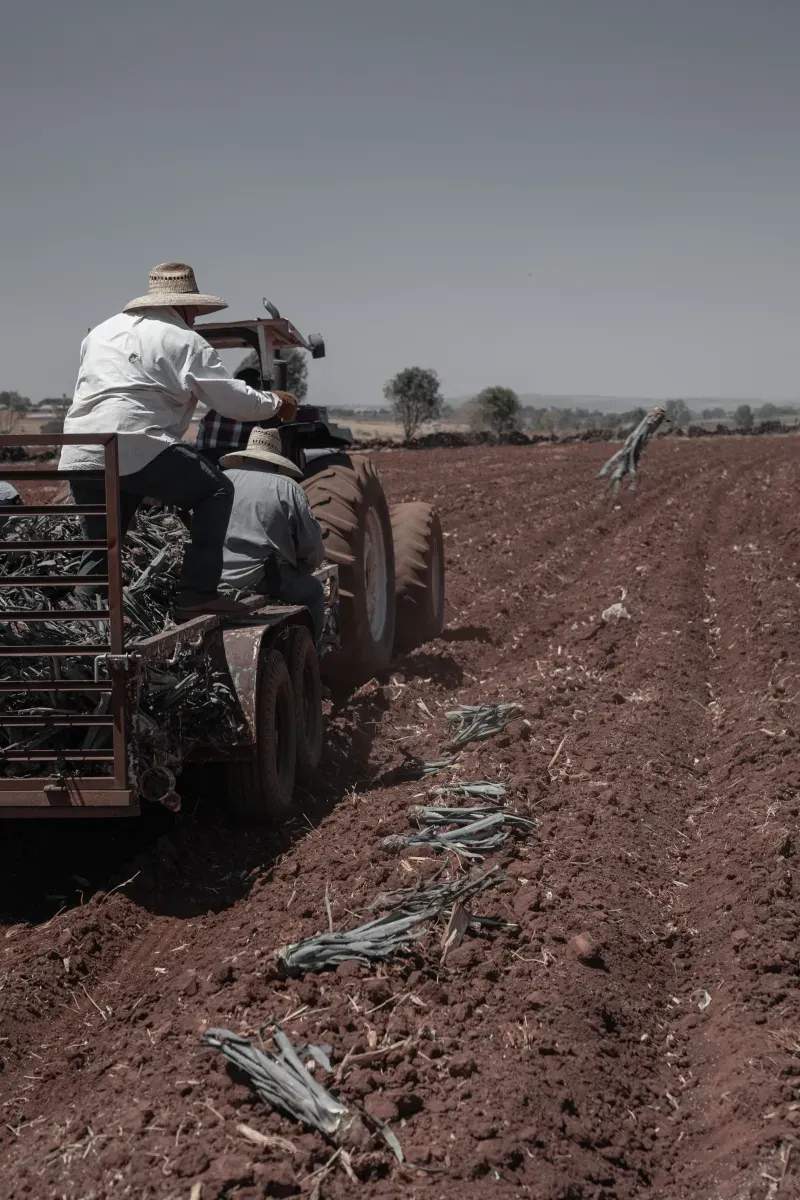 Suministro y coordinación de insumos agrícolas